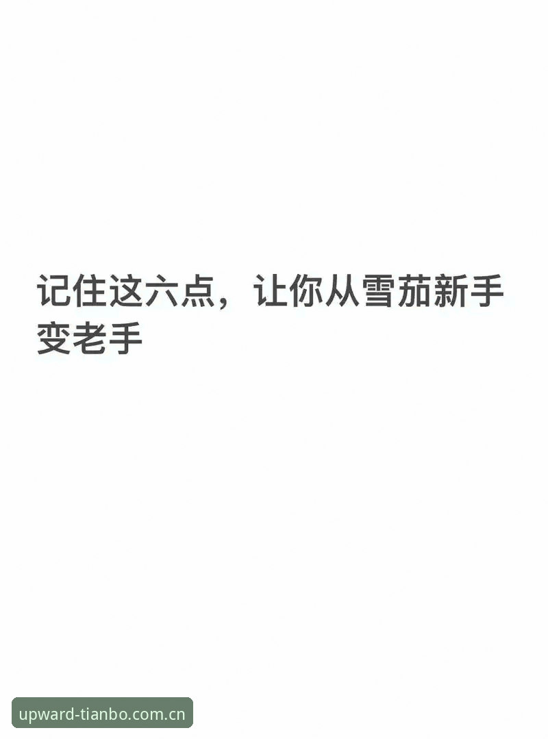 全维度前沿布局安卓版手机注册 新手自己摸索 vs 跟着老手走:全维度前沿布局安卓版手机注册哪个更靠谱?